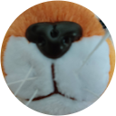 Scott Chang Scott Chang